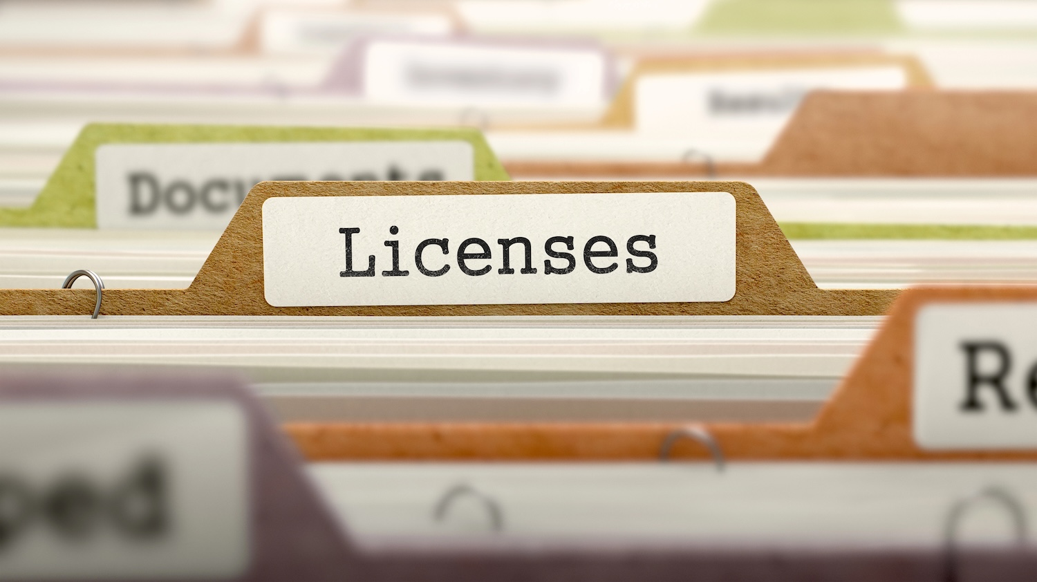 Licenses on Business Folder in Multicolor Card Index. Closeup View. Blurred Image.